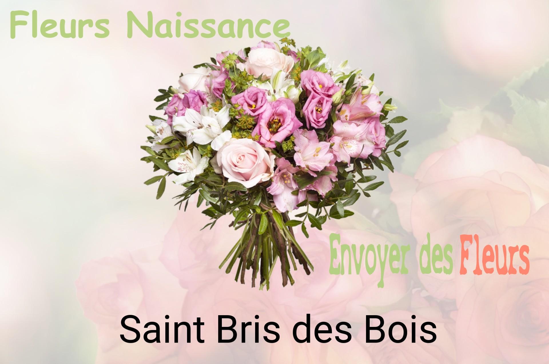 Bouquet de fleurs de naissance livré à Saint-Bris-des-Bois