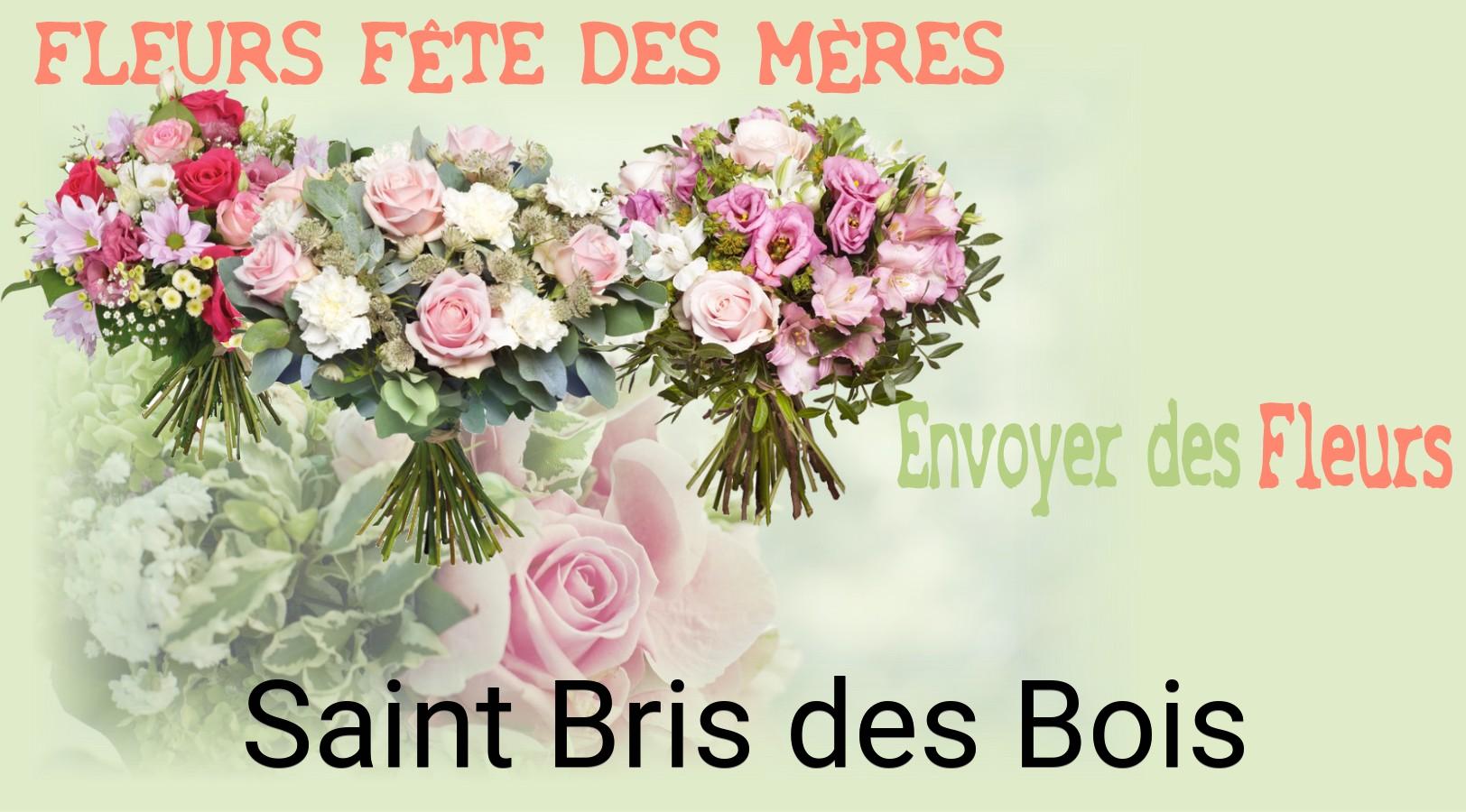Bouquet de Fête des Mères livré à Saint-Bris-des-Bois